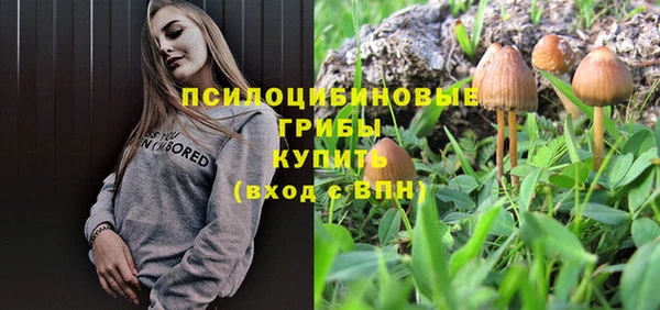 бутират Алзамай