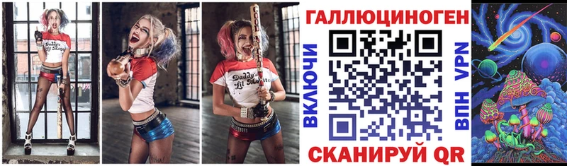 Галлюциногенные грибы Psilocybe  Черноголовка 